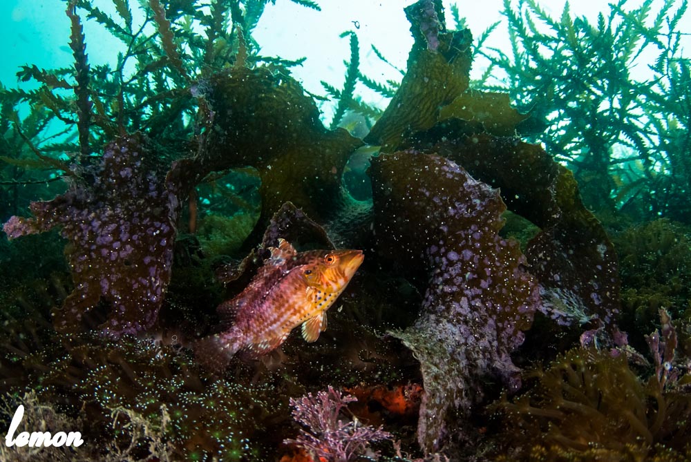 f0221418_17172698.jpg