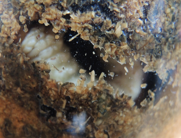 c0346119_22084321.jpg