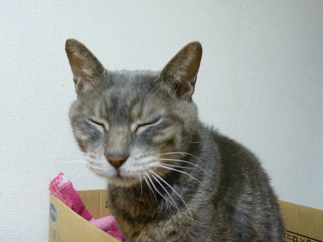 寄り添う心を養わねば・・・_b0166128_962341.jpg