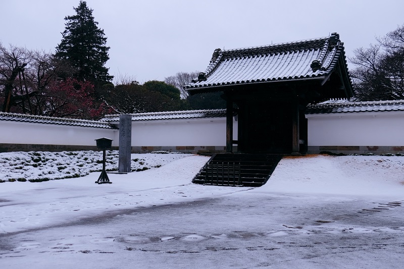 b0230131_14293392.jpg