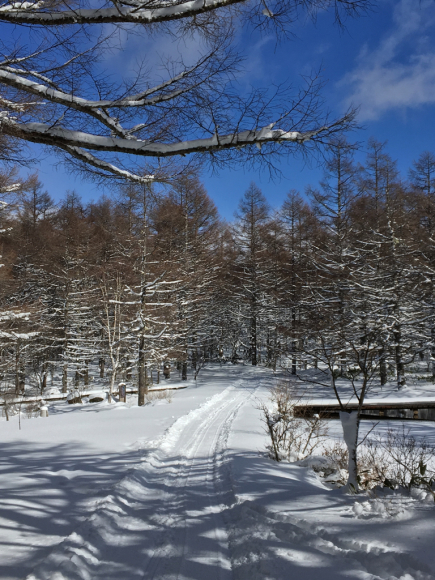 雪あそび_c0090236_11003192.jpg