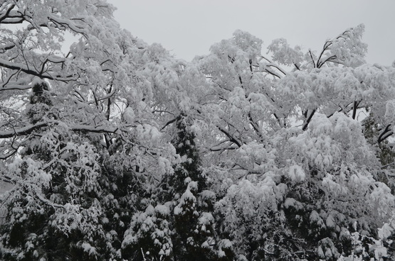 c0202242_8113194.jpg