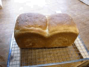 パン作り5回目 未だ窯のびせず! _c0063348_2021355.gif