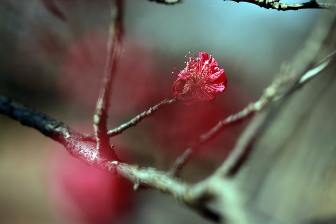 a0120949_973290.jpg