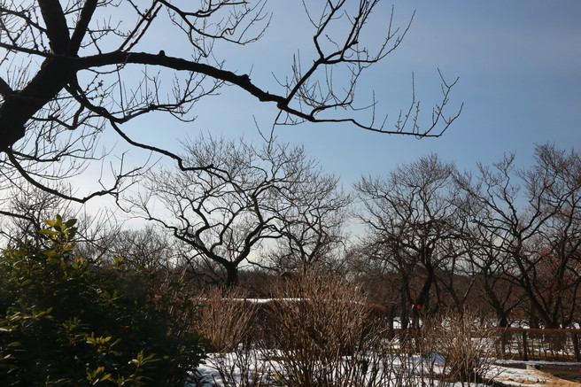 a0120949_974830.jpg