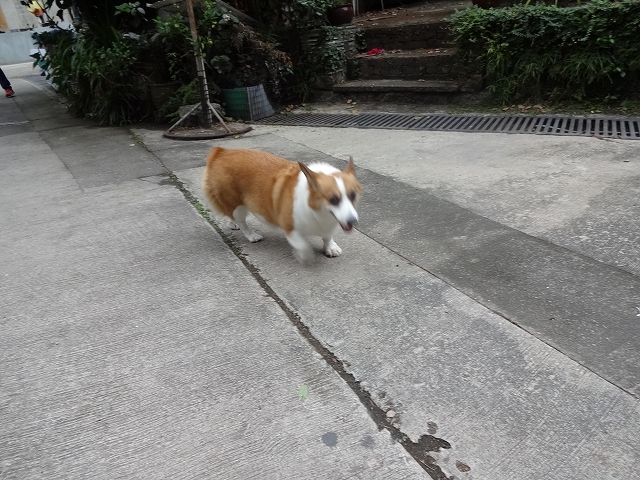 香港文化博物館への帰り道 _b0248150_09200973.jpg