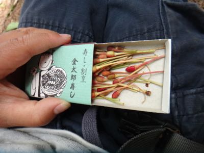 4月5週,5月1週 春めく日々_e0256851_2158389.jpg
