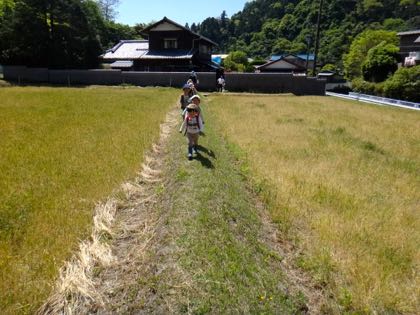 4月5週,5月1週 春めく日々_e0256851_22434933.jpg