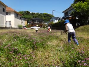 4月5週,5月1週 春めく日々_e0256851_2244911.jpg