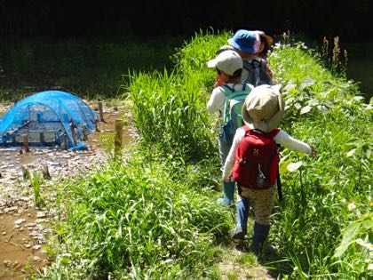 4月5週,5月1週 春めく日々_e0256851_22503825.jpg