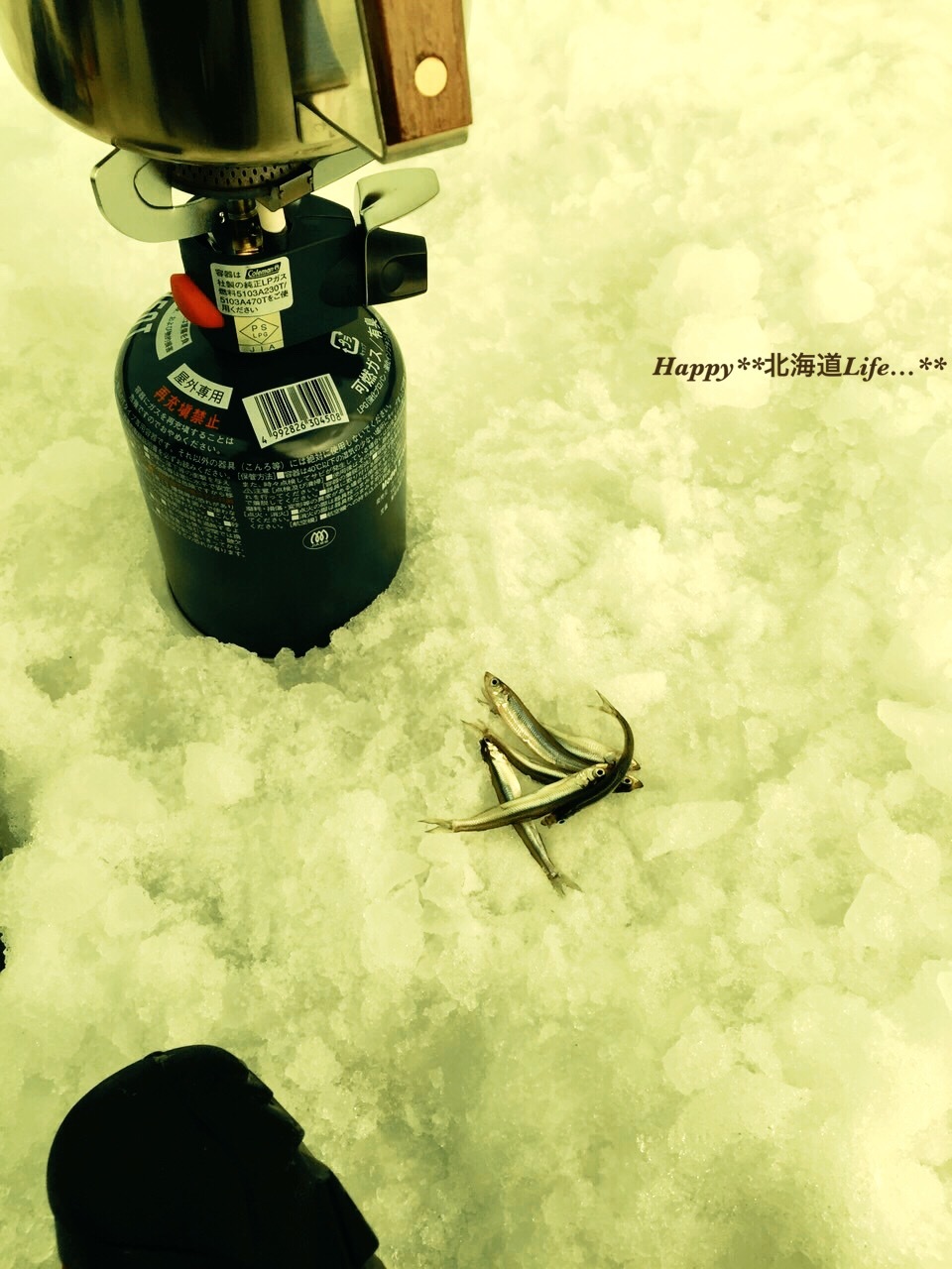 a0337860_11194331.jpeg