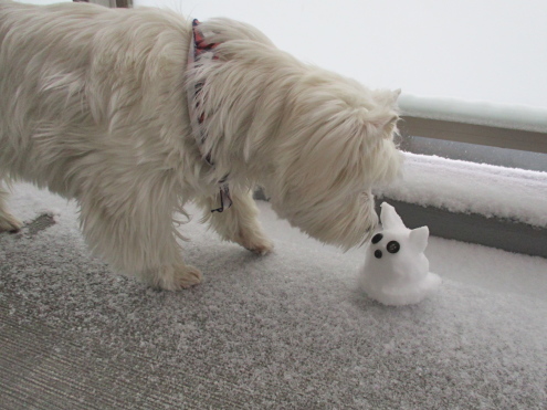 週末ごとに雪が降る。。_c0260460_07512816.jpg