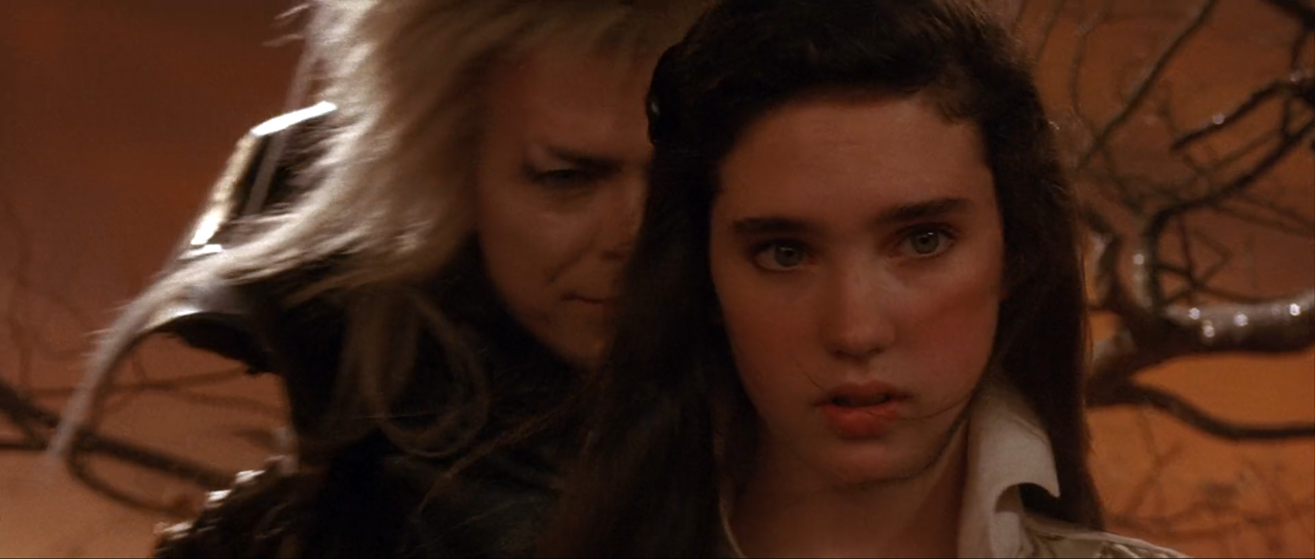 ジェニファー・コネリー（Jennifer Connelly）「ラビリンス／魔王の迷宮」（1986年）・・・前編_e0042361_18134290.jpg