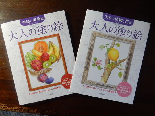 ’16,1,30(土)雨の日は好きな事が一杯!_f0060461_9395126.jpg