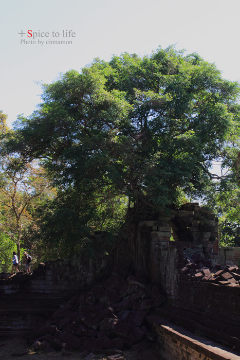 Cambodia trip(ベン・メリア編)_f0326278_23171303.jpg