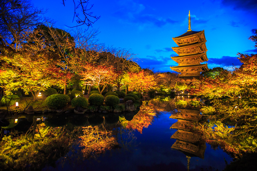 紅葉15 東寺ライトアップ 京都憧憬