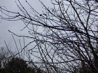 2016年1月30日 合宿_b0098584_16562783.jpg