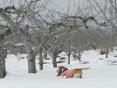 f0205887_193627.gif