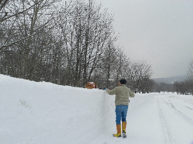 f0205887_1941283.gif