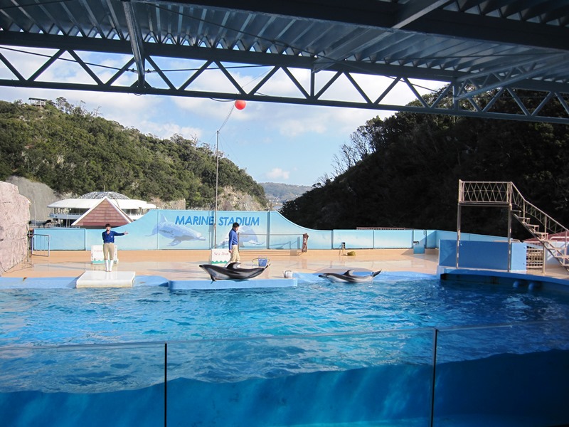 誕生日旅行（下田海中水族館編）_b0150088_929323.jpg