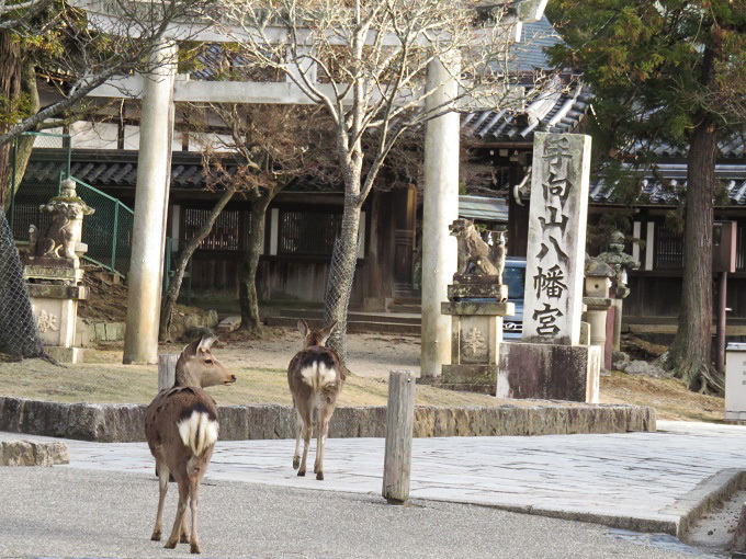 お水取りには少々季節が早いが・・・_f0346196_17135266.jpg