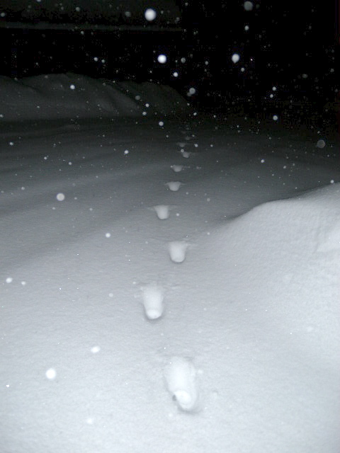 a0199297_14255486.jpg
