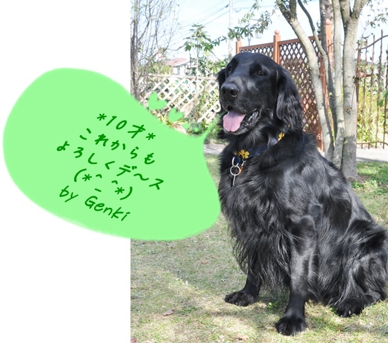 ❁❁ 10才 ❁❁_f0176499_01012853.jpg