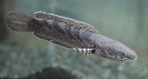 c0165800_19261581.jpg