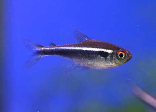 c0165800_1935405.jpg