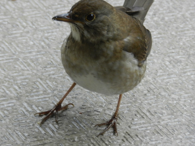 e0033301_1844512.jpg