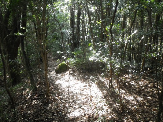 f0187402_22231100.jpg