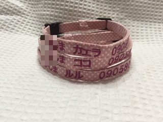 a0332203_19401995.jpeg