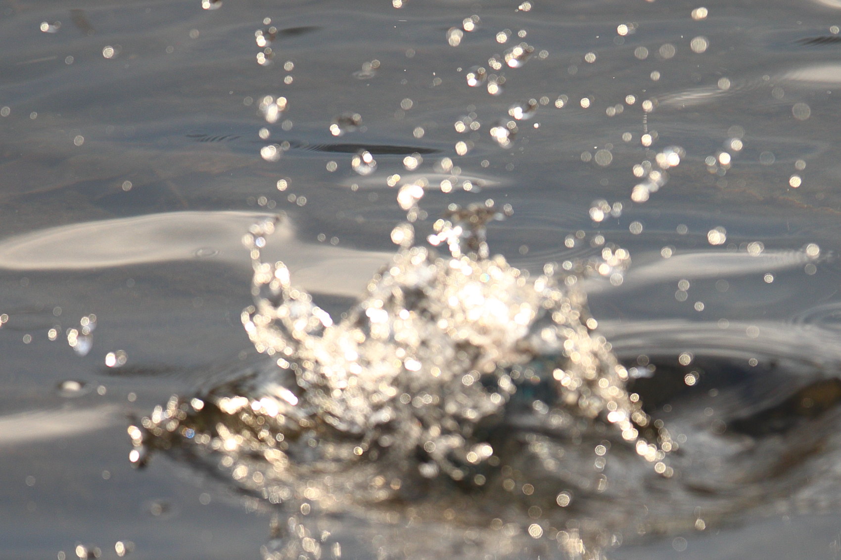 a0117507_20335562.jpg