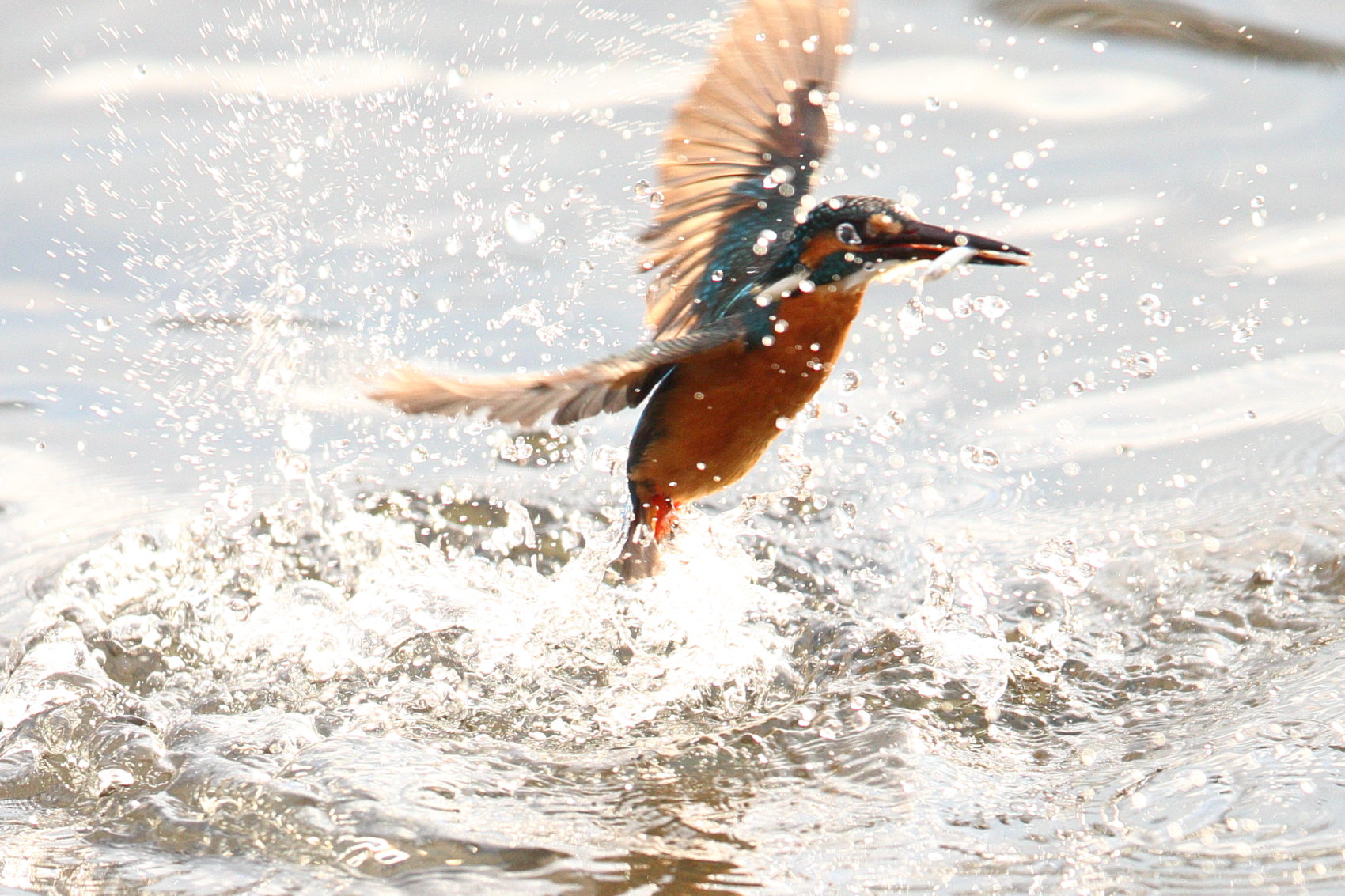 a0117507_20341086.jpg