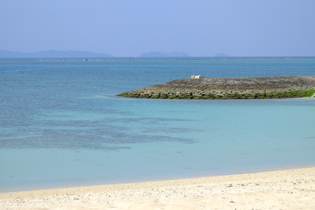 b0237408_12396100.jpg