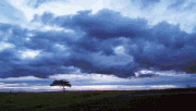 2月21日(日) 一柳慧 主要ピアノ曲集 (4/5)_c0050810_8285488.gif