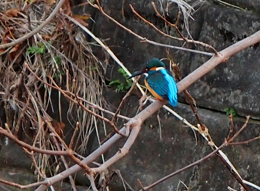 d0048812_11201352.jpg