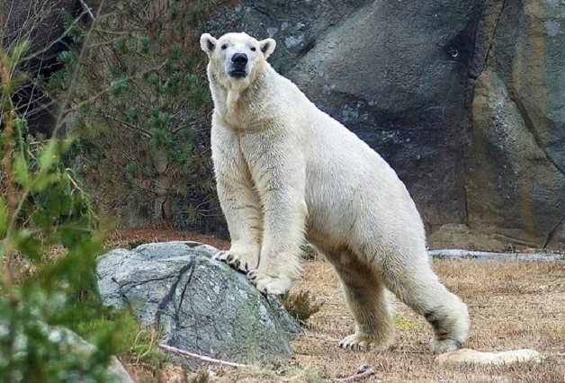 a0151913_2415149.jpg