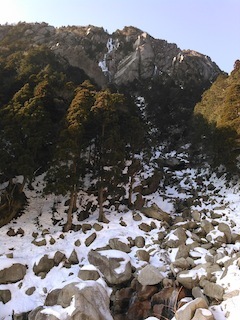 c0359615_18124162.jpg