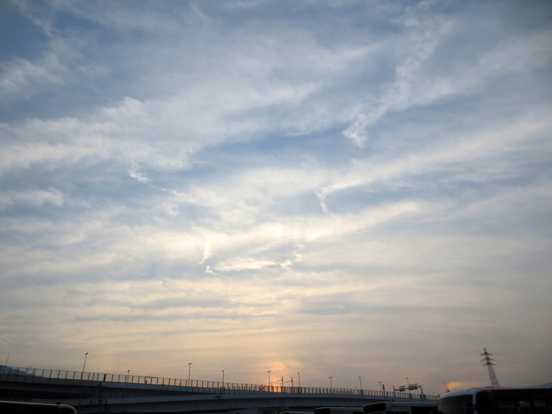d0190217_2219951.jpg