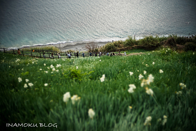 淡路島・水仙郷_c0007918_2250741.jpg