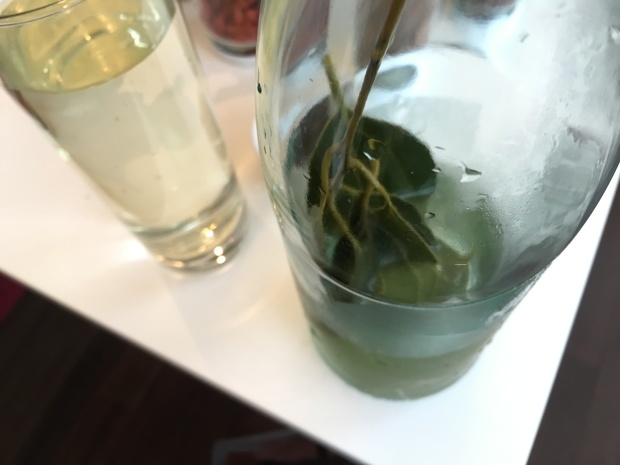 e0172219_01202050.jpeg