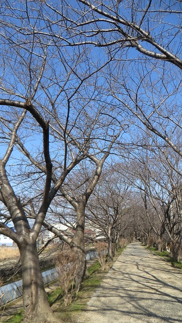 c0280322_14353542.jpg