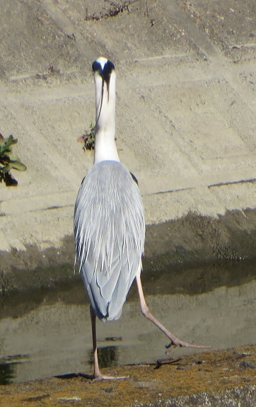 c0280322_14354432.jpg