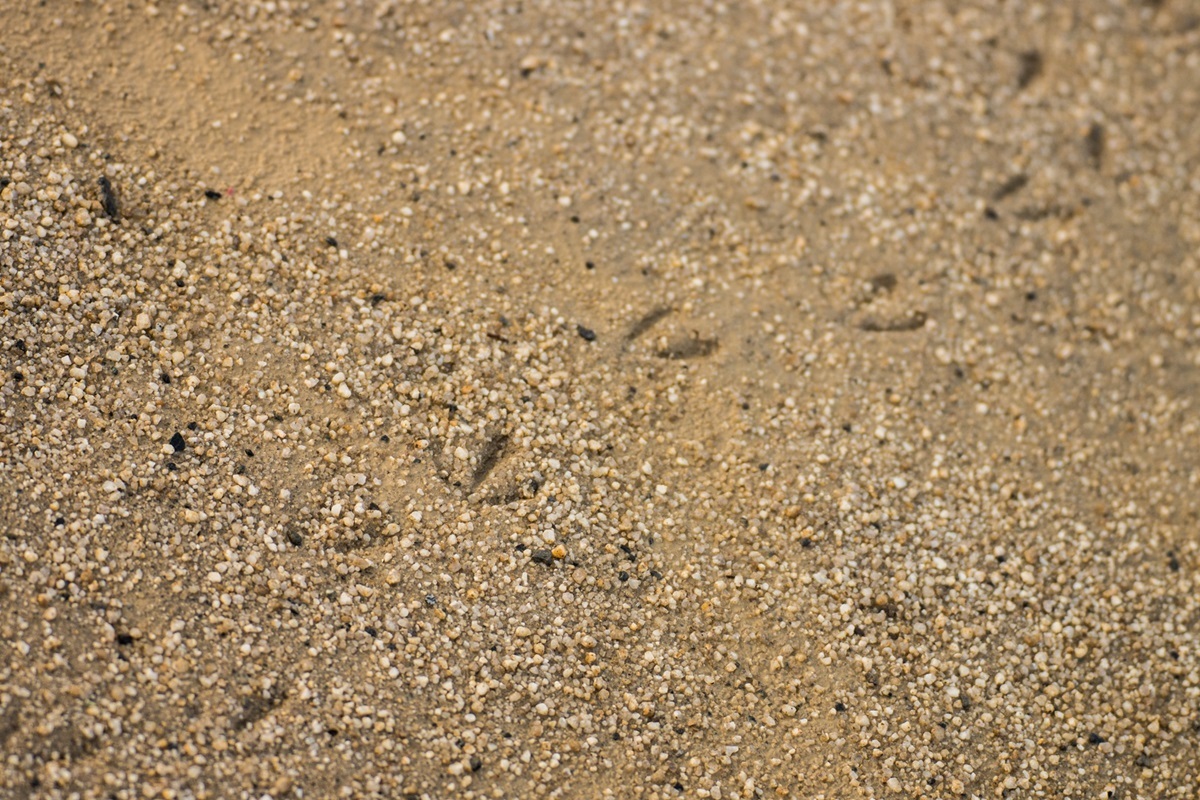 e0346322_17541903.jpg