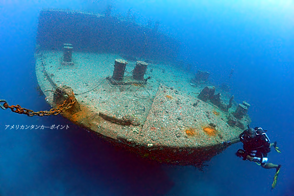 b0044726_22132877.png