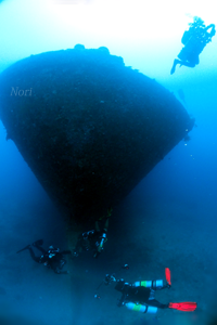 b0044726_23415725.png