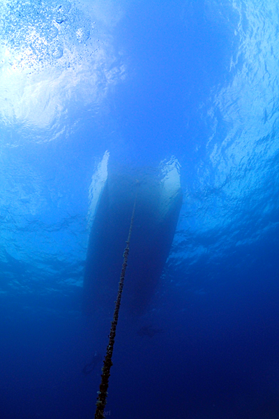 b0044726_23434894.png