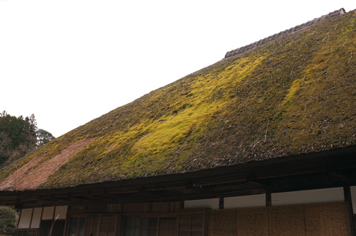 c0308431_1459493.jpg