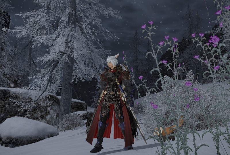 登山したりしゅうぞう こたろの日記 Ff14